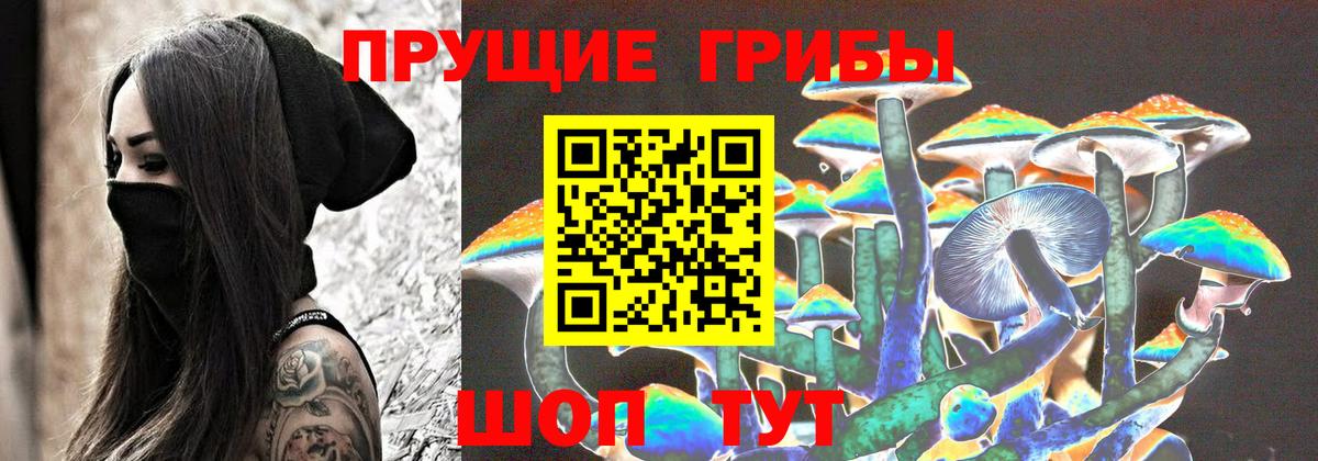 Псилоцибиновые грибы Psilocybe Чайковский